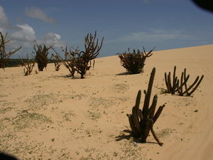 BRAZYLIA,CANOA OUEBRADA
