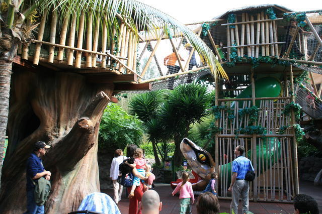 TENERYFA,LORO PARQUE