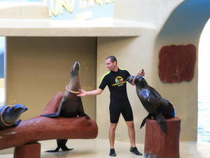 TENERYFA,LORO PARQUE