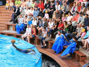 TENERYFA,LORO PARQUE