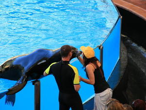 TENERYFA,LORO PARQUE