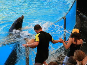 TENERYFA,LORO PARQUE