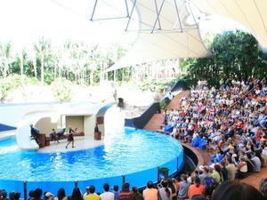 TENERYFA,LORO PARQUE