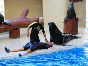 TENERYFA,LORO PARQUE