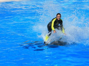 TENERYFA,LORO PARQUE