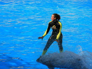 TENERYFA,LORO PARQUE