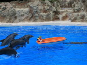 TENERYFA,LORO PARQUE