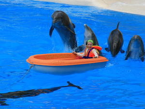 TENERYFA,LORO PARQUE