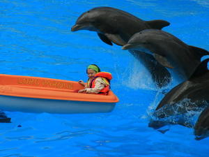TENERYFA,LORO PARQUE