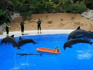 TENERYFA,LORO PARQUE