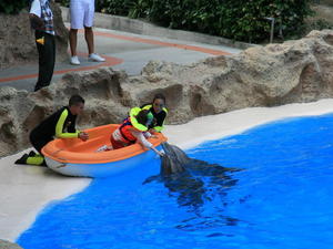 TENERYFA,LORO PARQUE