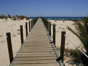 PORTUGALIA-ALGARVE-PARK RIA FORMOSA