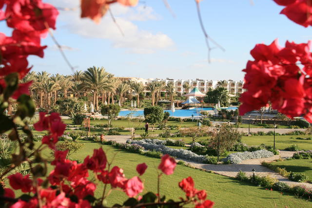 EGIPT-MARSA EL ALAM-NOWA ALEXSANDRIA