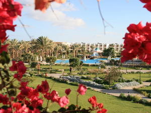 EGIPT-MARSA EL ALAM-NOWA ALEXSANDRIA