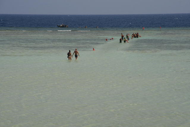 EGIPT-MARSA EL ALAM-NOWA ALEXSANDRIA
