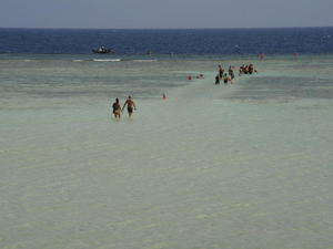 EGIPT-MARSA EL ALAM-NOWA ALEXSANDRIA