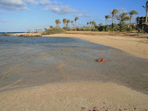 EGIPT-MARSA EL ALAM-NOWA ALEXSANDRIA
