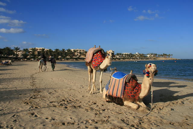 EGIPT-MARSA EL ALAM-NOWA ALEXSANDRIA