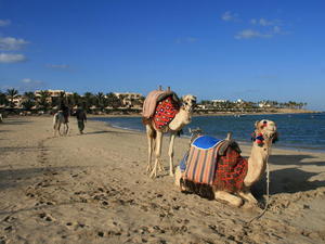 EGIPT-MARSA EL ALAM-NOWA ALEXSANDRIA