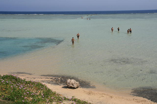 EGIPT-MARSA EL ALAM-NOWA ALEXSANDRIA