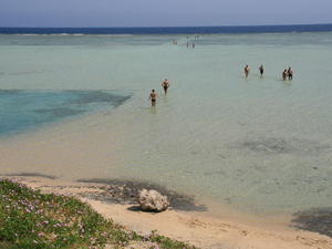 EGIPT-MARSA EL ALAM-NOWA ALEXSANDRIA