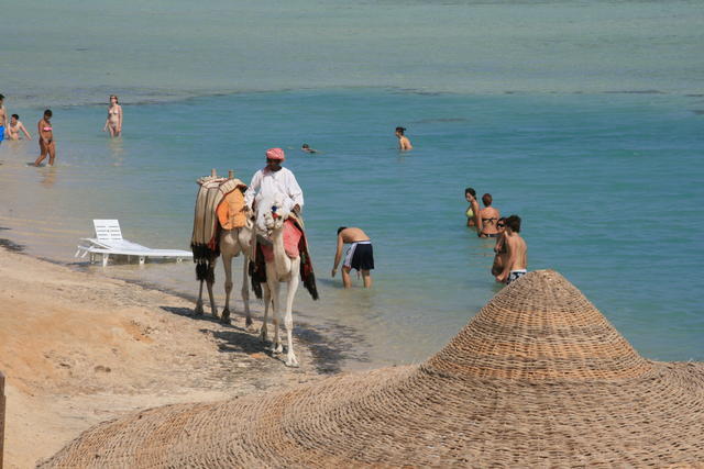 EGIPT-MARSA EL ALAM-NOWA ALEXSANDRIA