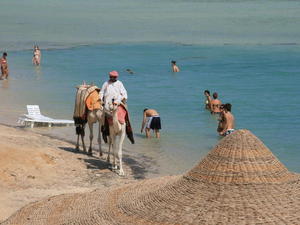 EGIPT-MARSA EL ALAM-NOWA ALEXSANDRIA