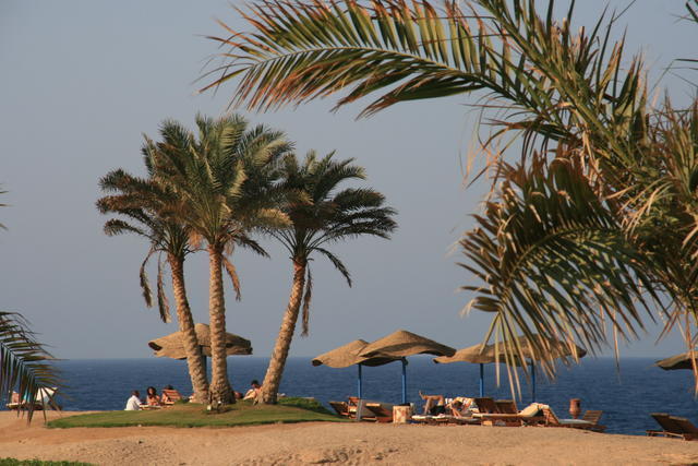 EGIPT-MARSA EL ALAM-NOWA ALEXSANDRIA