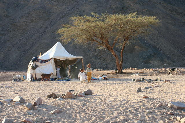 EGIPT-MARSA EL ALAM-NOWA ALEXSANDRIA