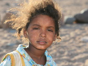 EGIPT-MARSA EL ALAM-NOWA ALEXSANDRIA