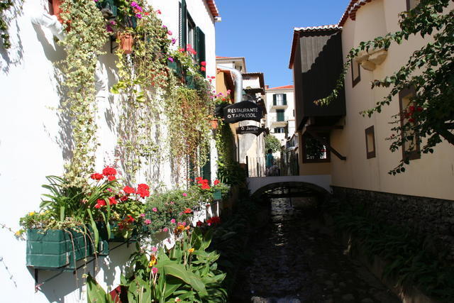 MADERA,FUNCHAL-FESTIWAL KWIATÓW
