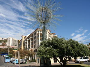 MADERA,FUNCHAL-FESTIWAL KWIATÓW