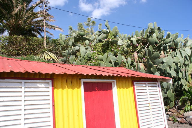 MADERA,FUNCHAL-FESTIWAL KWIATÓW