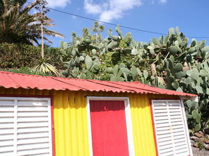 MADERA,FUNCHAL-FESTIWAL KWIATÓW