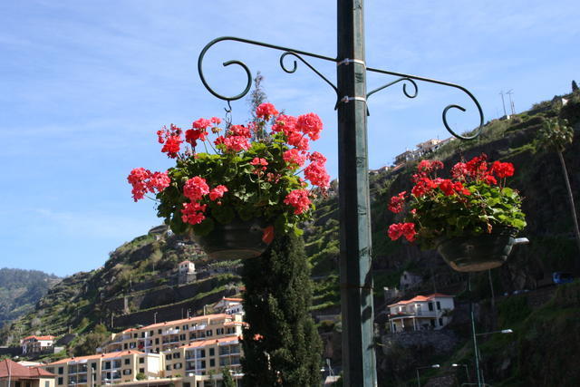 MADERA,FUNCHAL-FESTIWAL KWIATÓW