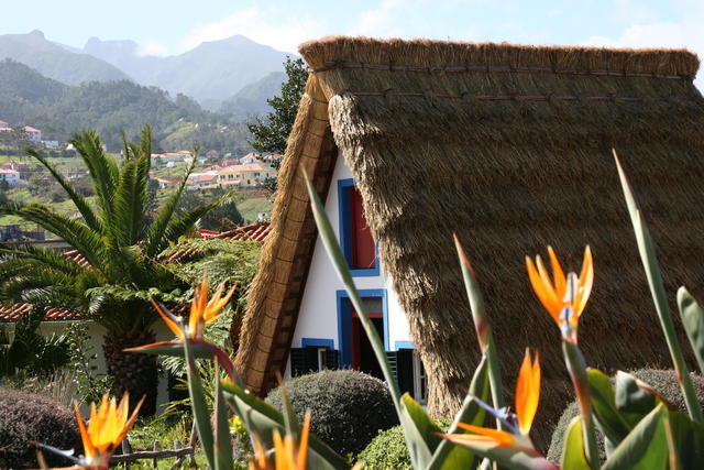 MADERA,FUNCHAL-FESTIWAL KWIATÓW