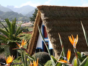 MADERA,FUNCHAL-FESTIWAL KWIATÓW