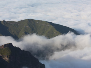 Madeira