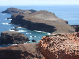 Madeira