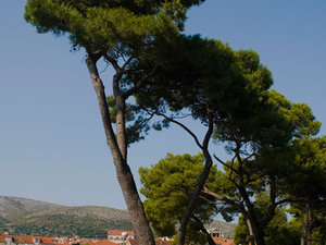 Trogir 