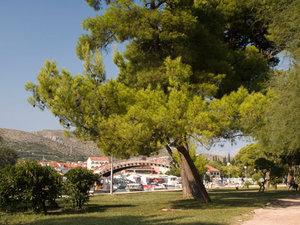 Trogir 