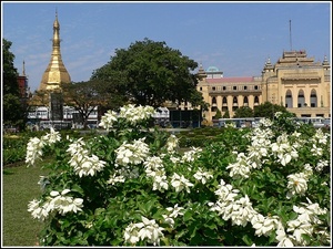 Myanmar 0309