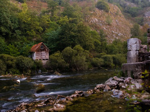 Powrót do domu 