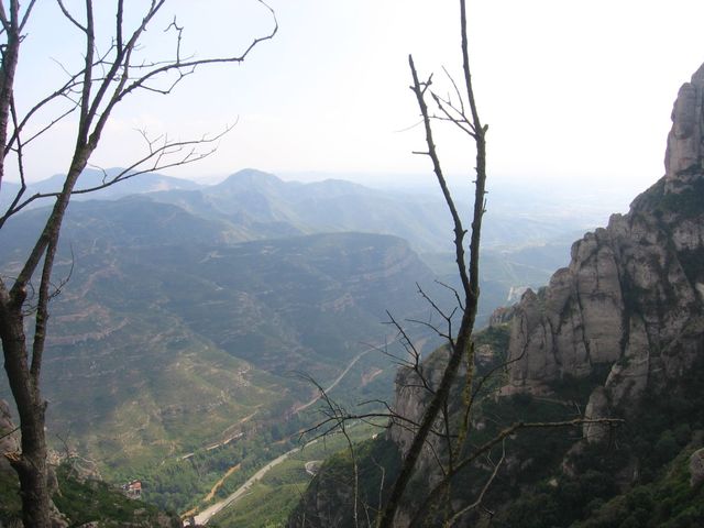 Widok z góry