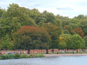 Londyńskie parki 2009 09