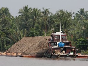 Delta Mekongu, Wietnam