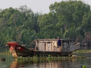 Delta Mekongu, Wietnam