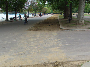 Londyńskie parki 2009 12
