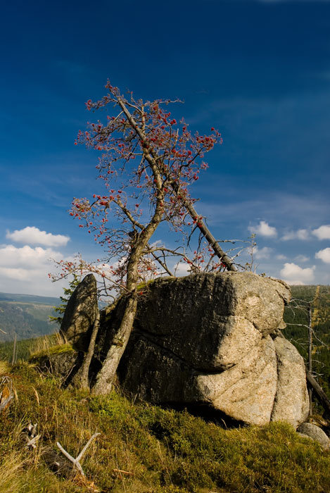 Góry Izerskie 