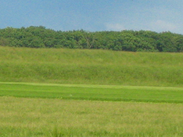 Maj i czerwiec 2009r 197